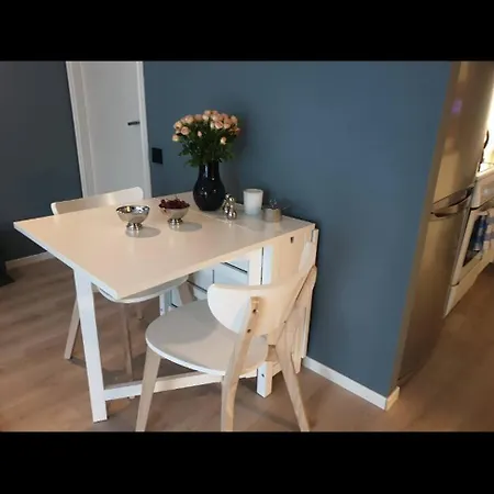 아파트 Close To Dnb Arena For Rent During Ons2024 스타방에르